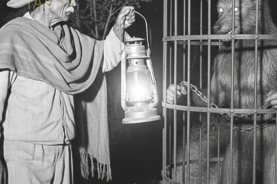 Fui contratado para vigilar a una mujer Nahual – y terminé arriesgando mi vida por ella…