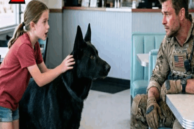 Niña le dijo al Navy SEAL: Mi perro puede encontrar a tu hijo lo que pasó después sorprendió a todos