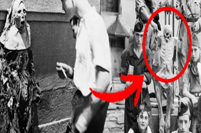 ¿Qué Oculta la IZQUIERDA sobre la República Española?: El TERROR ROJO