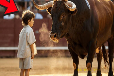 Nadie Podía Tocar A Ese Toro — Hasta Que Llegó Ese Niño… Y Todo Cambió…