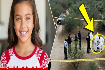 Niña desapareció en 1995 volviendo de la escuela. 7 días después, cazadores encontraron algo…