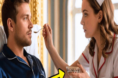 Las puertas de hierro forjado de la mansión se abrieron con un chirrido metálico y dos enfermeras salieron corriendo hacia la calle, una de ellas sollyosando descontroladamente, mientras la otra intentaba consolarla con palabras que se perdían en el viento frío de la tarde.