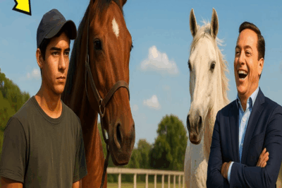 La multitud se reía, se reía fuerte. Un joven pobre con un caballo tan delgado que parecía un esqueleto caminante desafiaba al empresario más poderoso de la región. Entonces Ricardo Mendoza soltó la frase que haría historia: “Si pierdo, te quedas con mi caballo.” La carcajada del millonario retumbó por todo el hipódromo mientras señalaba a Tormenta, su semental campeón.