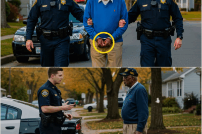 La policía arresta a un veterano negro – y se sorprende al descubrir que es el padre del general