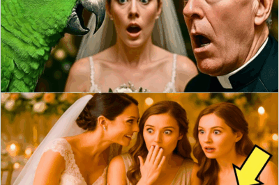 😱Cuando el Cura Escuchó lo que el Loro repetía —De inmediato Detuvo La BODA