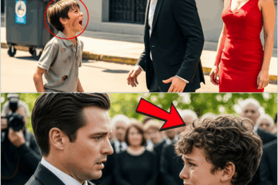 Tu madre está viva. La vi en el basurero. ¿Estás seguro? Dime la verdad. El niño pobre gritó al millonario. “Tu madre está viva. La vi en el basurero. Lo que ocurrió después cambiaría su destino para siempre.” Antes de comenzar la historia, comenta desde qué lugar nos estás viendo. Espero que disfrutes esta historia. No olvides de suscribirte.