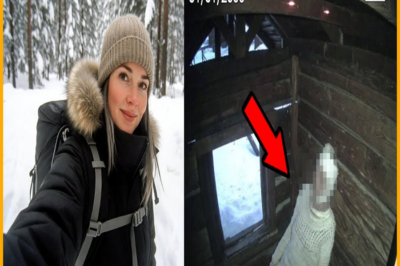 Turista Desapareció en Alaska — 4 años después CABAÑA y CÁMARA revelaron sus últimos días…