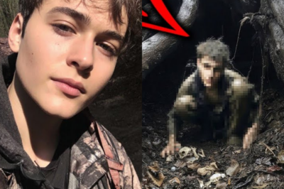 Desapareció En El Sendero De Los Apalaches — Un Mes Después Lo Hallaron En Una Guarida De Coyotes