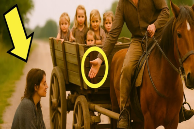 NECESITAS UN TECHO… Y YO UNA MADRE PARA MIS HIJAS… VENTE CONMIGO, DIJO EL HACENDADO TA