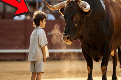 Nadie Podía Tocar A Ese Toro — Hasta Que Llegó Ese Niño… Y Todo Cambió. TA