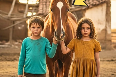 ABANDONADOS POR SU MADRASTRA: CONVIRTIERON UN RANCHO ABANDONADO EN UN IMPERIO GANADERO. TA