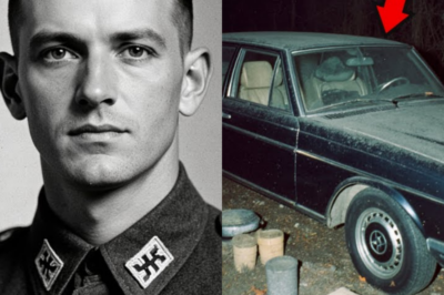 Coronel alemán huyó en 1945 — 79 años después hallan su coche, uniforme y diario secreto