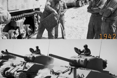 Cómo la idea “loca” de un ingeniero con neumáticos salvó 200 tanques en África TA