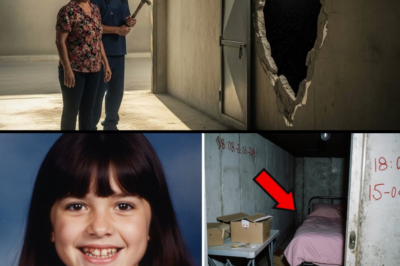 Desaparecida por 10 años — su madre halló un cuarto secreto oculto tras la pared del garaje. TA