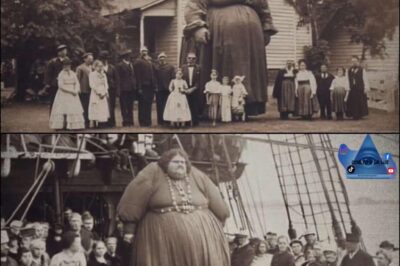 El Intrigante Caso del Hombre Rescatado del Océano en 1973 que Decía Ser del Futuro