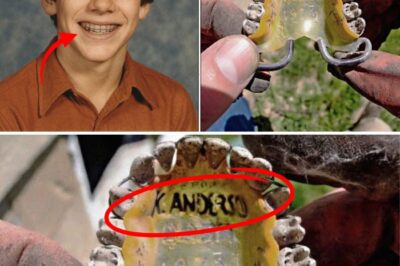 El Niño Desaparecido en 1979: 45 Años Después, un Fontanero Encontró la Verdad en una Tubería