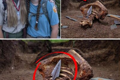 ha-Adolescentes Desaparecieron en Apalaches — 10 Años Después Hueso con Flecha Antigua HALLADO…