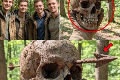 ha-Cuatro Turistas Desaparecieron en Luisiana. 4 Años Después, Esto Es Encontrado Enterrado en la Tierra…