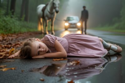 ha-Tormenta: El caballo que salvó a Lily Grace