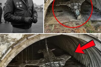 ha-El Secreto de 80 Años: Avión de Combate de la Marina Desaparecido en 1944 Hallado Intacto en un Búnker Subterráneo Article: El Vuelo Final, Ochenta Años de Silencio y el Hallazgo que Cambia la Historia