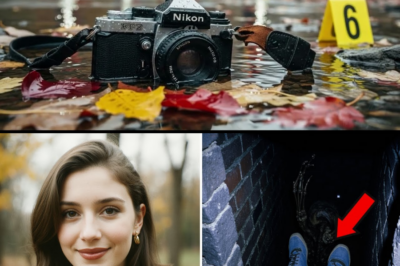 Mujer desaparecida en los Montes Ozark es hallada 5 años después atrapada en la chimenea TA