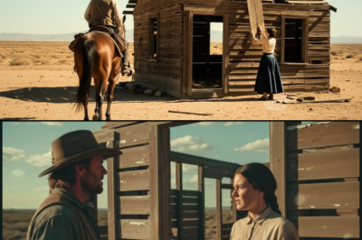 Un Vaquero Solitario vio a una Mujer Reparando una Vieja Cabaña — lo que Hizo te Dejará sin Palabras TA