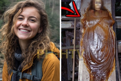 HA-Lo que se descubrió en los bosques de las Grandes Montañas Humeantes 2 años después La desaparición no fue sólo restos. Fue una acción deliberada, aterradora y creación metódica, el propósito de que permanece más allá de la comprensión para este día. El viernes 16 de octubre de 1988, el día comenzó con claro y fresco clima.