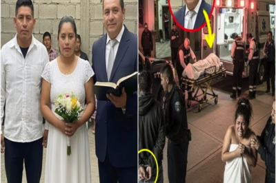 TN-Impactante caso en Michoacán — Un panadero sorprende al pastor y a su esposa en un momento íntimo que desencadena un desenlace trágico