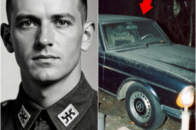 TN-Coronel alemán huyó en 1945 — 79 años después hallan su coche, uniforme y diario secreto