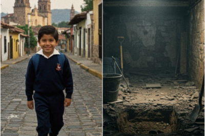 TN-Niño Desaparecido en 1987 — 25 Años Después su Hermana Descubre la Verdad en el Sótano…