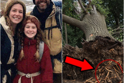 TN-Familia Desapareció en Caminata en Great Smoky Mountains — 9 Años Después Restos Bajo un Árbol…