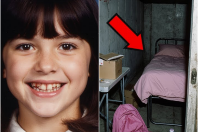 TN-Desaparecida por 10 años — su madre halló un cuarto secreto oculto tras la pared del garaje.